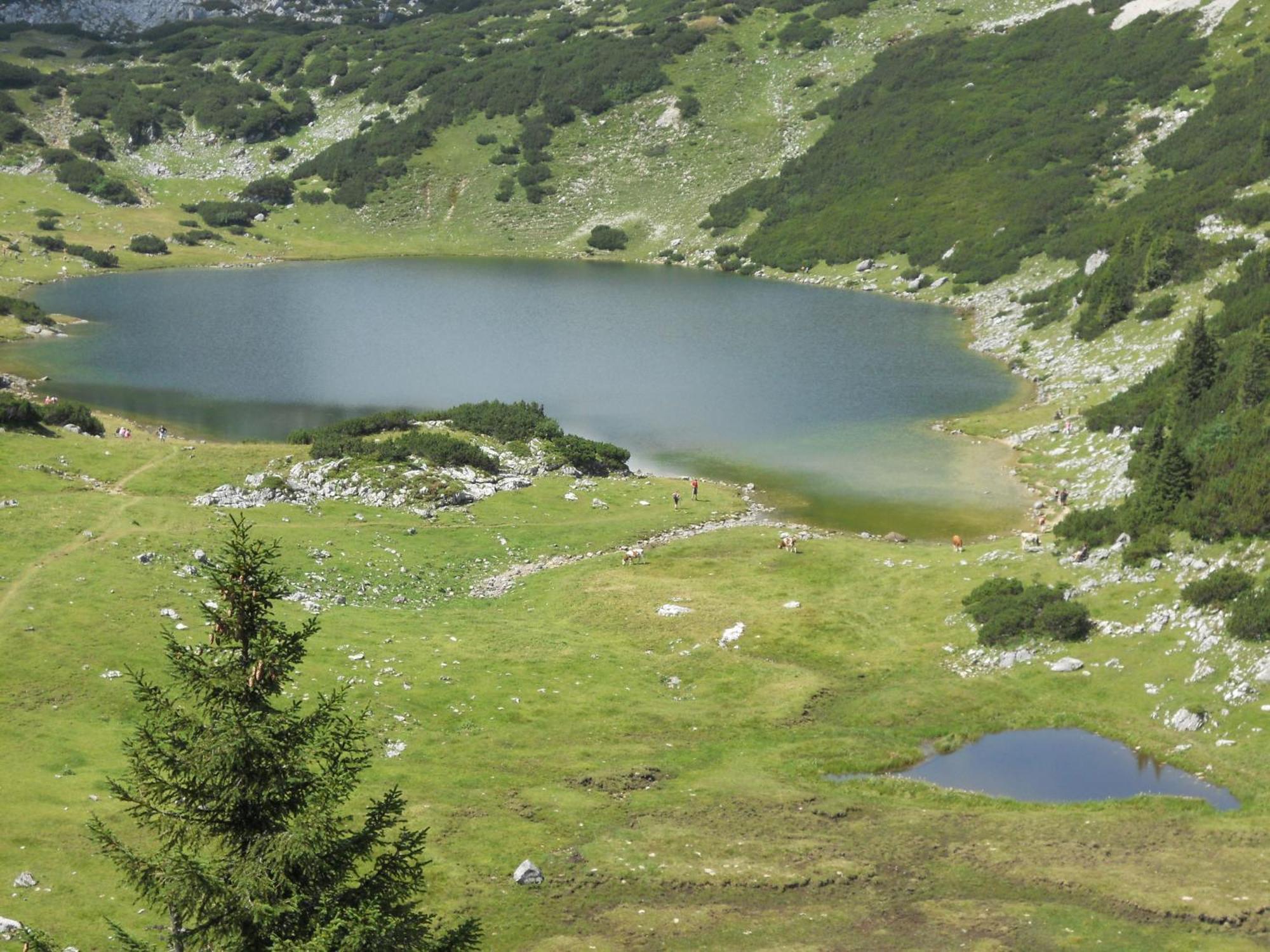 Landgasthof Pfarrwirt Hotel Thiersee Buitenkant foto